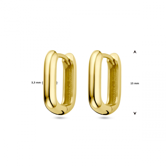 14 karaat geelgouden fantasie oorsieraden - 39856