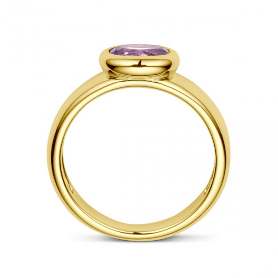 GEEL GOUDEN DAMESRING AMETHIST - 40132