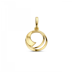 14k Geelgouden hanger. - 40301