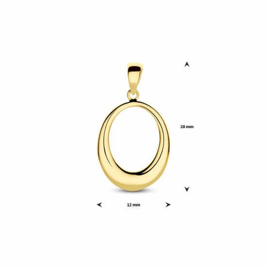 14k Geelgouden hanger. - 40302