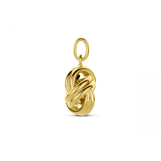 14k Geelgouden hanger. - 40303