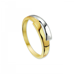 BICOLOR GOUDEN DAMESRING - 40658