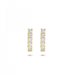 GOUDEN OORSIERADEN - 40707