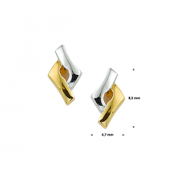 BICOLOR GOUDEN OORSIERADEN - 40721