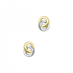 BICOLOR GOUDEN OORSIERADEN - 40722