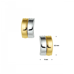 BICOLOR GOUDEN OORSIERADEN - 40723