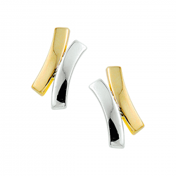 BICOLOR GOUDEN OORSIERADEN - 40724