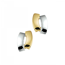 BICOLOR GOUDEN OORSIERADEN - 40766