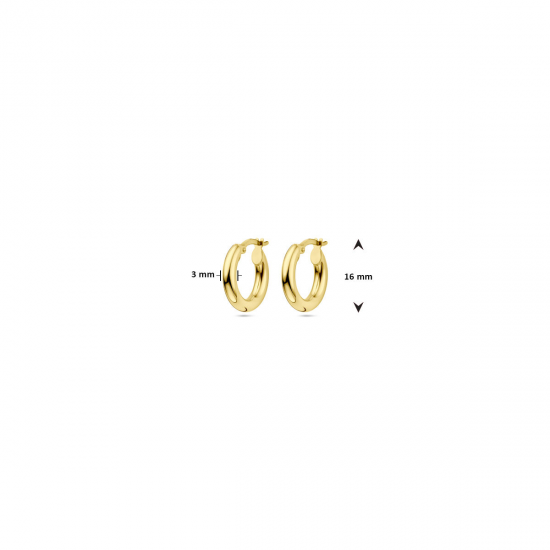 GOUDEN CREOLEN - 40869
