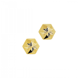 gouden dames oorknoppen - 40952