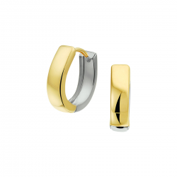 BICOLOR GOUDEN CREOLEN - 40979