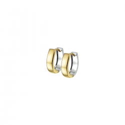 BICOLOR GOUDEN CREOLEN - 40979