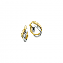 BICOLOR GOUDEN CREOLEN - 40980