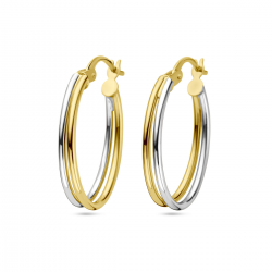 BICOLOR GOUDEN CREOLEN - 40986