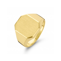 Fjory zegelring 14 krt. geelgoud met zilveren kern - 41113