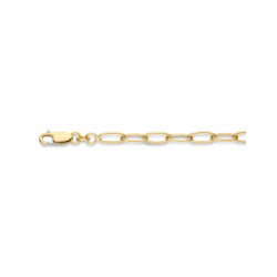 GOUDEN FJORY ARMBAND  MET ZILVEREN KERN - 41177