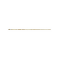 GOUDEN FJORY ARMBAND  MET ZILVEREN KERN - 41664